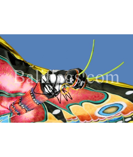 Butterfly Kite