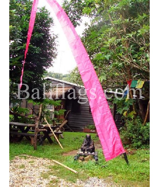 Bali Fuchsia Flags