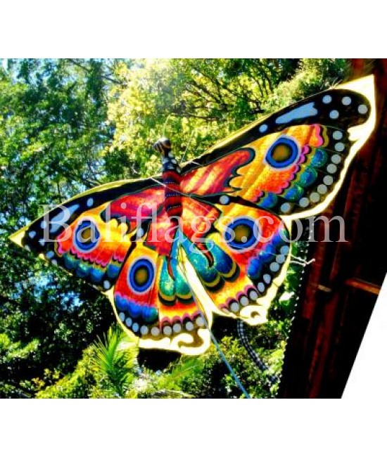 Butterfly Kite