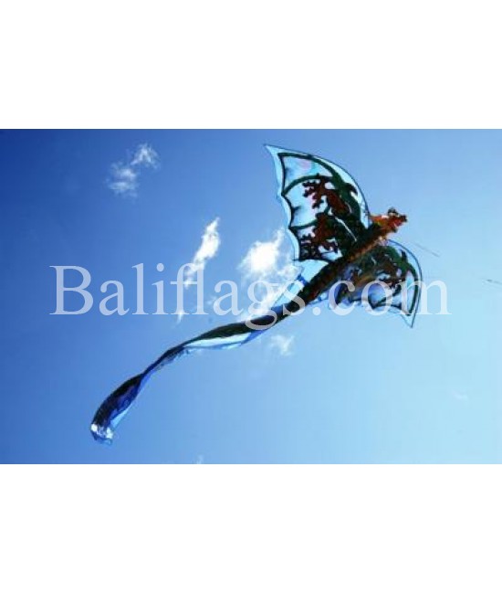 Dragon Kites